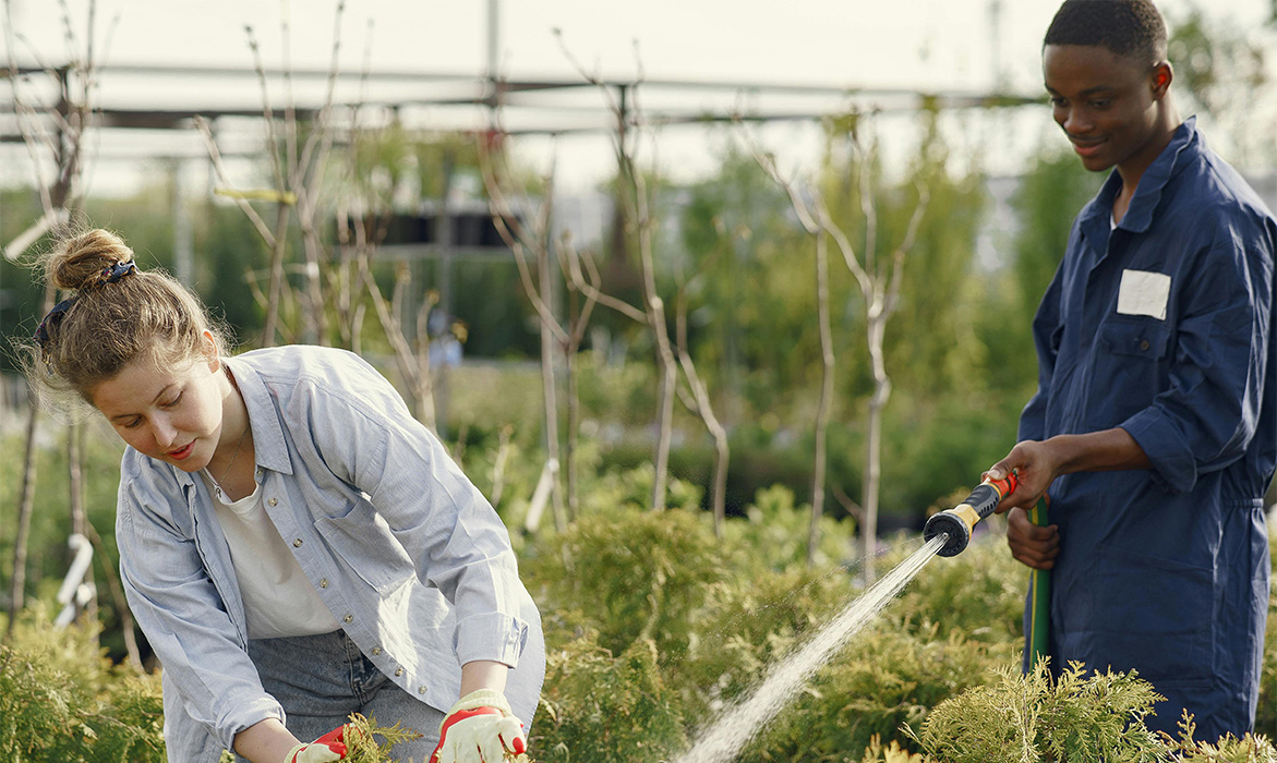 Gardening Work 2