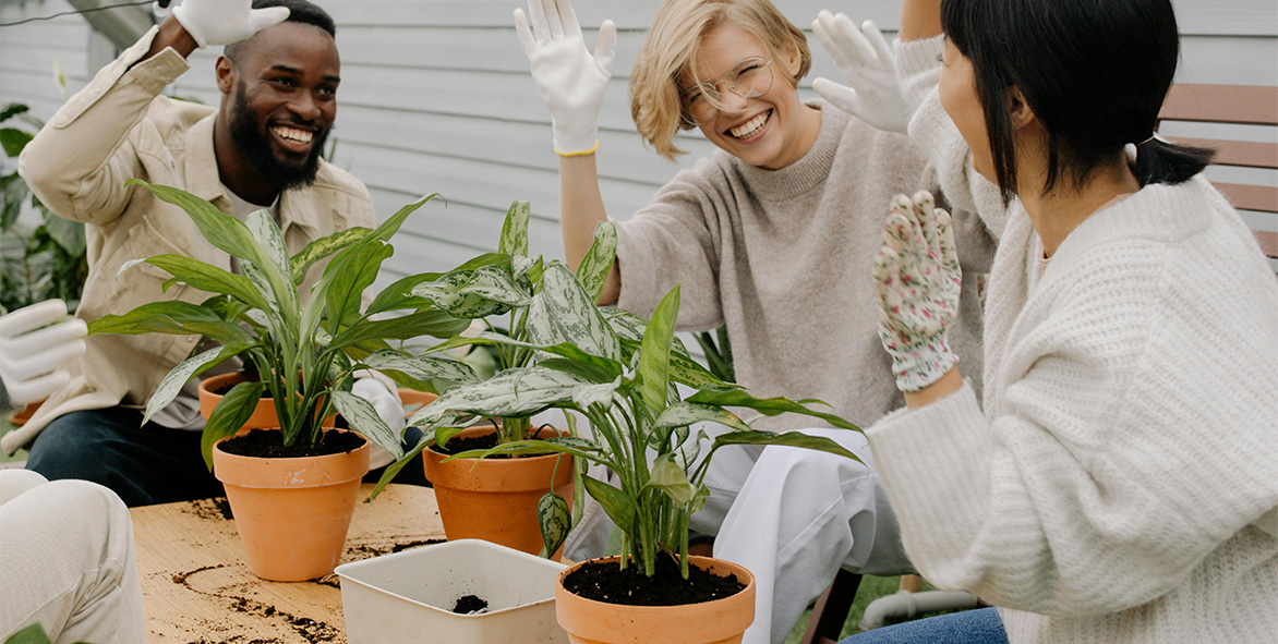 Gardening Work